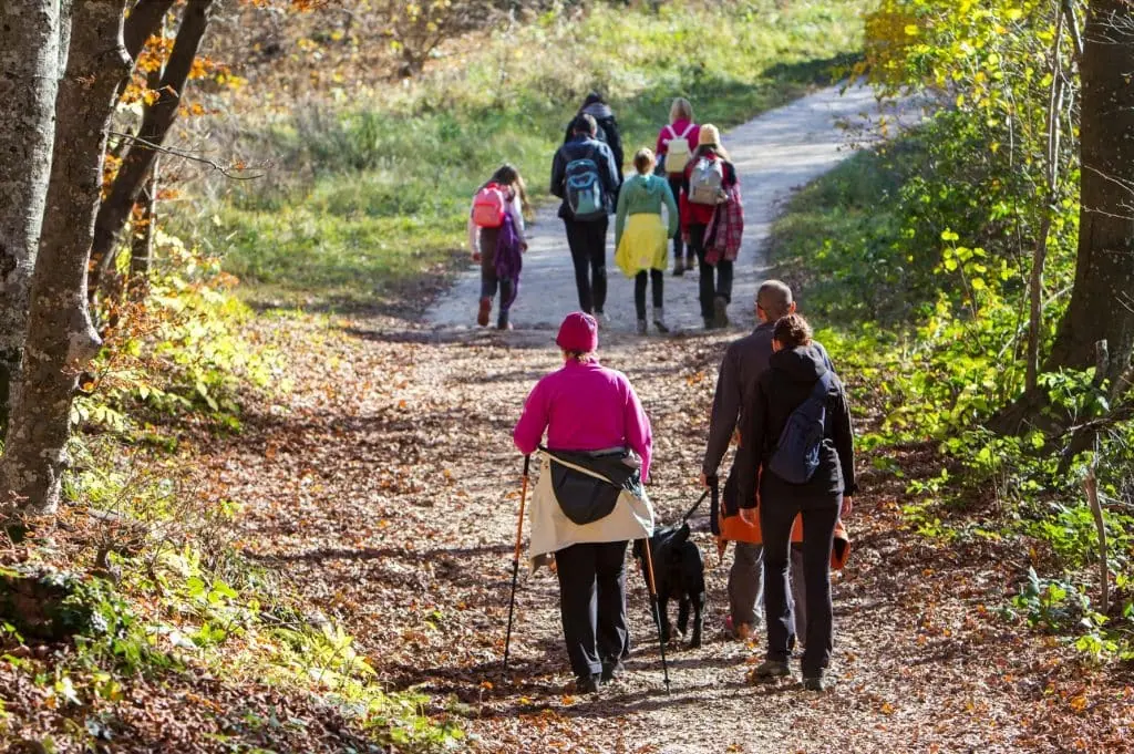 Walkers on an autumnal path